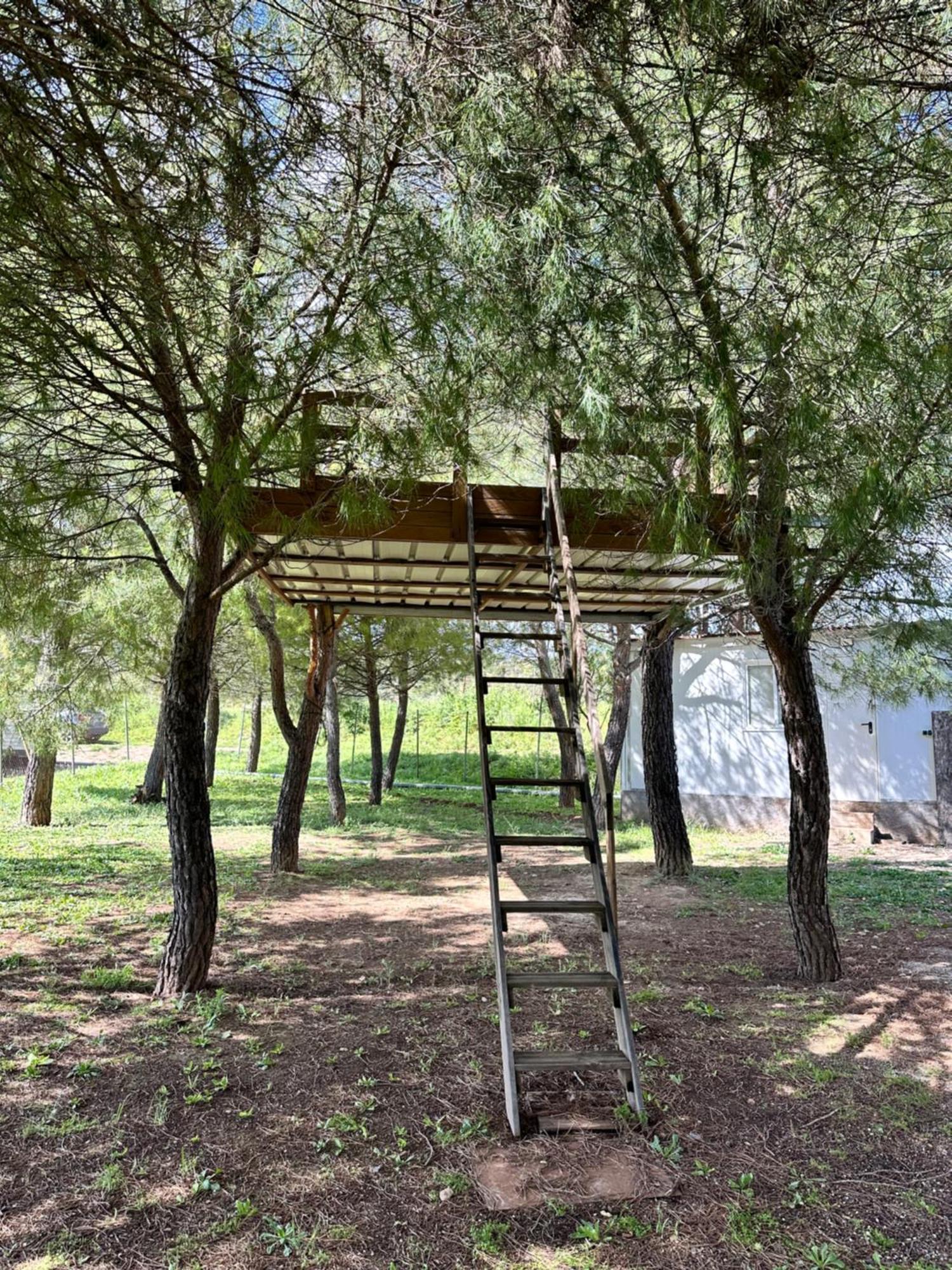 Bungalow Bambolera Torrelaguna Екстериор снимка
