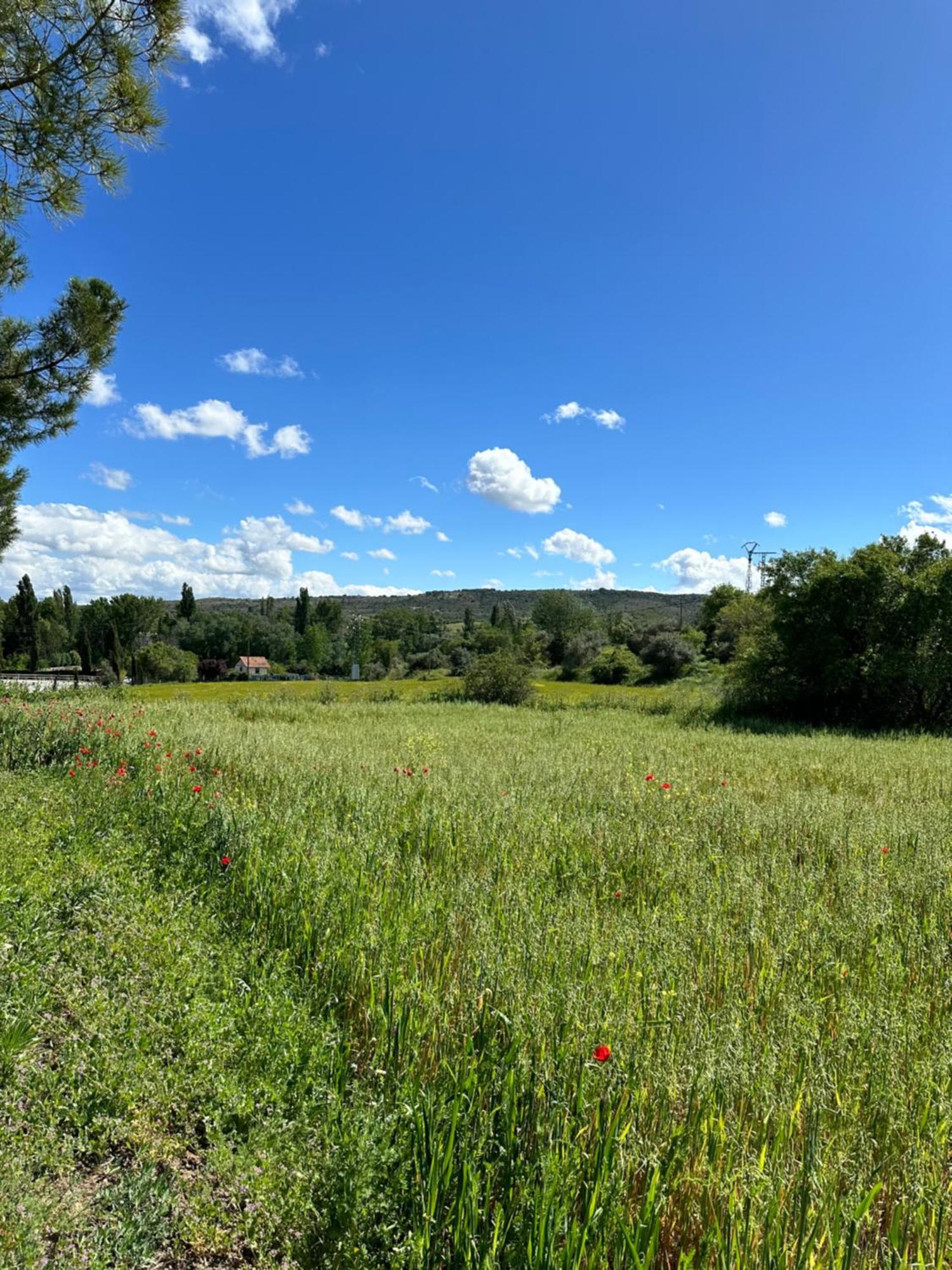 Bungalow Bambolera Torrelaguna Екстериор снимка
